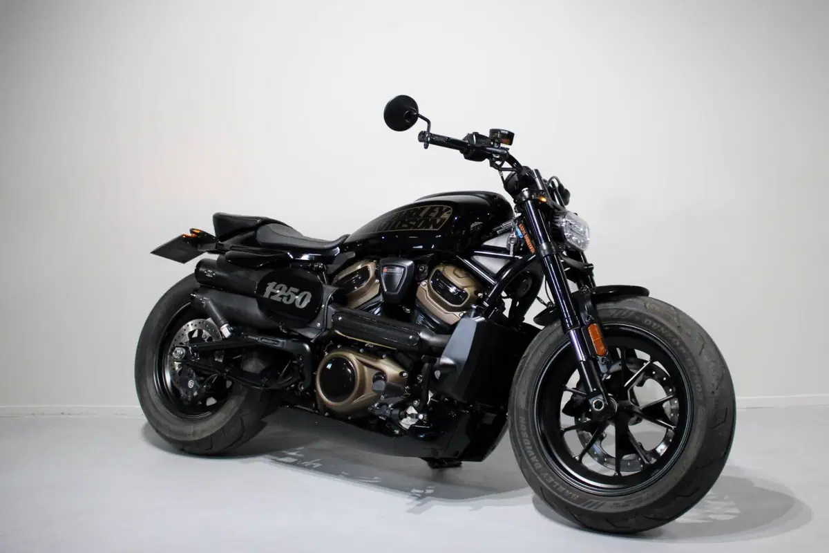 Harley-Davidson Sportster S (2022 - 24) (2)