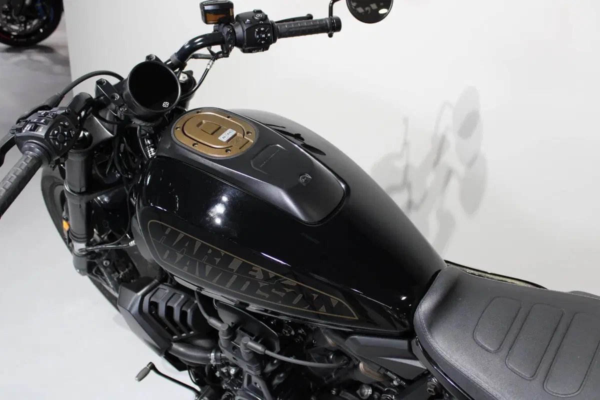 Harley-Davidson Sportster S (2022 - 24) (5)
