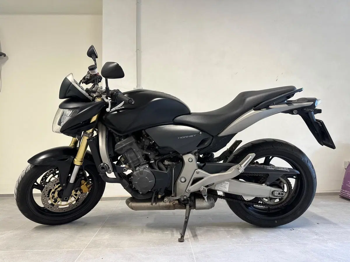 Honda Hornet 600 (2007 - 10) (8)