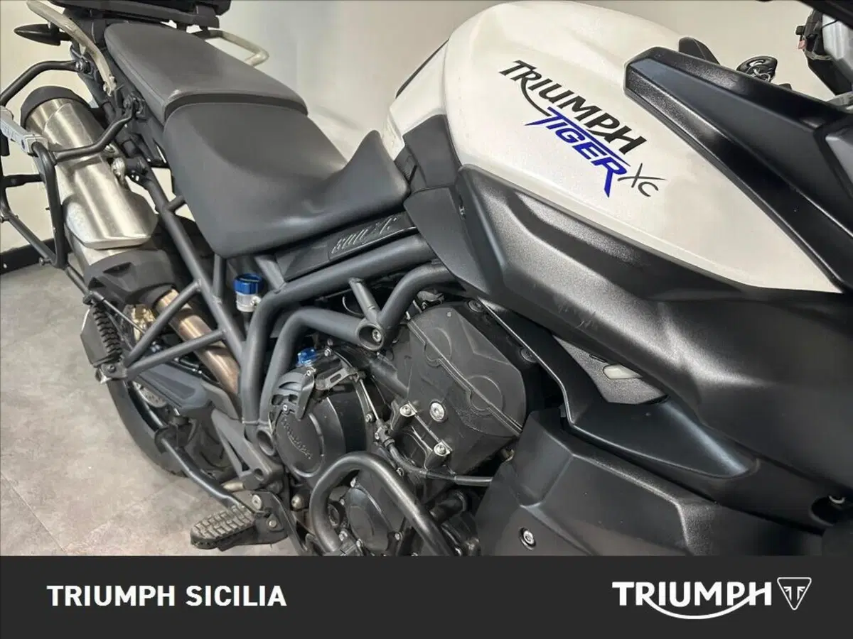 Triumph Tiger 800 XC ABS (2010 - 14) (7)