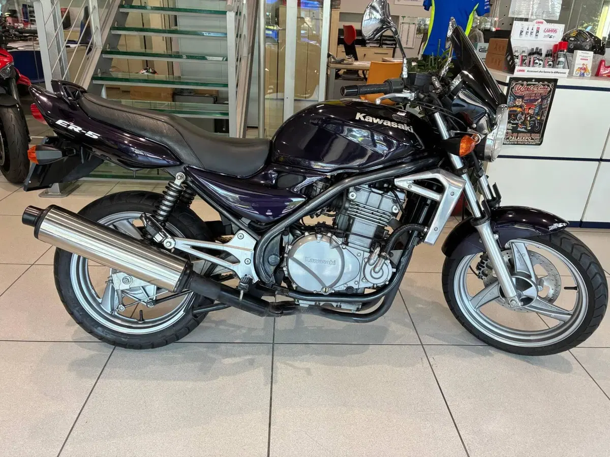 Kawasaki ER-5 500 (2001 - 06)