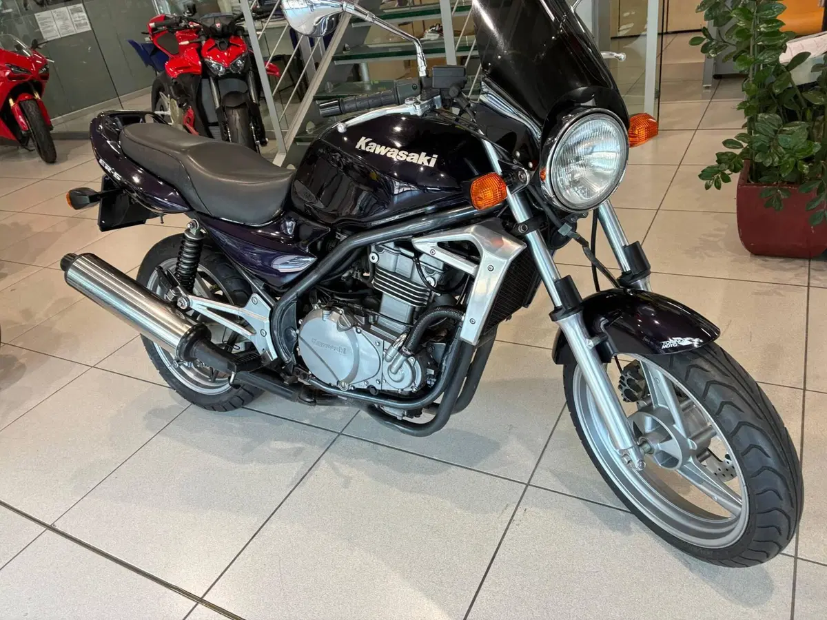 Kawasaki ER-5 500 (2001 - 06) (2)