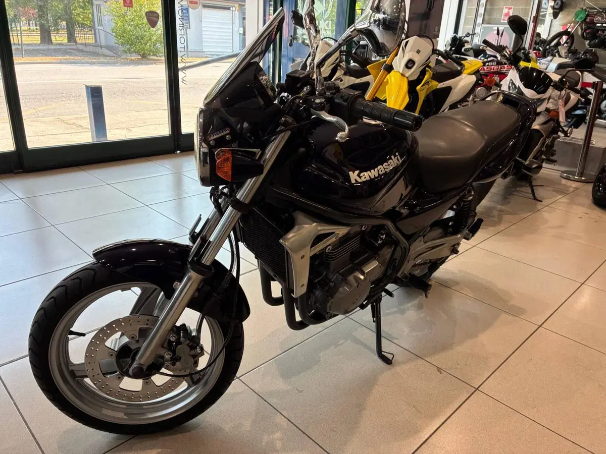 Kawasaki ER-5 500 (2001 - 06) (4)