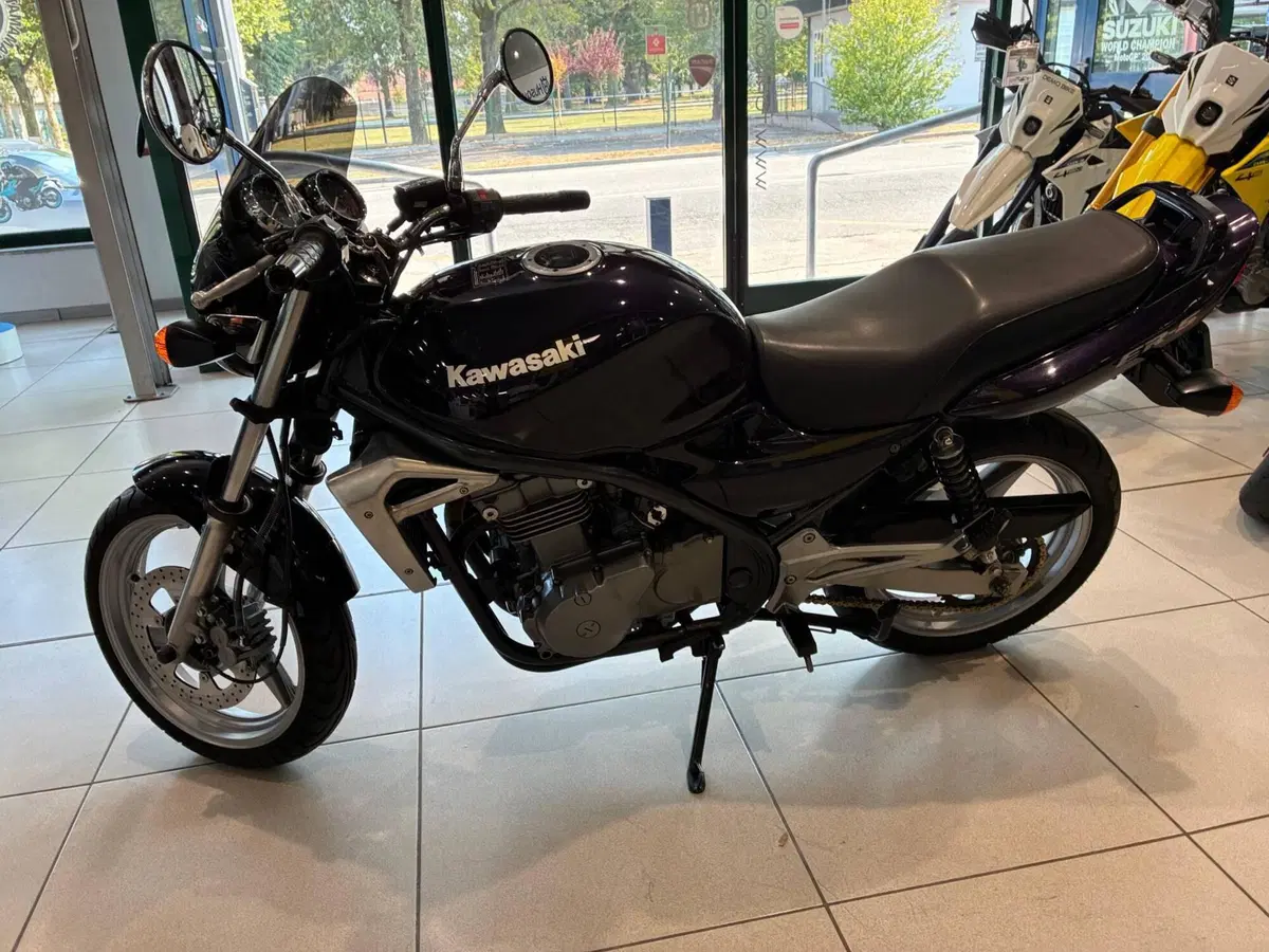 Kawasaki ER-5 500 (2001 - 06) (7)