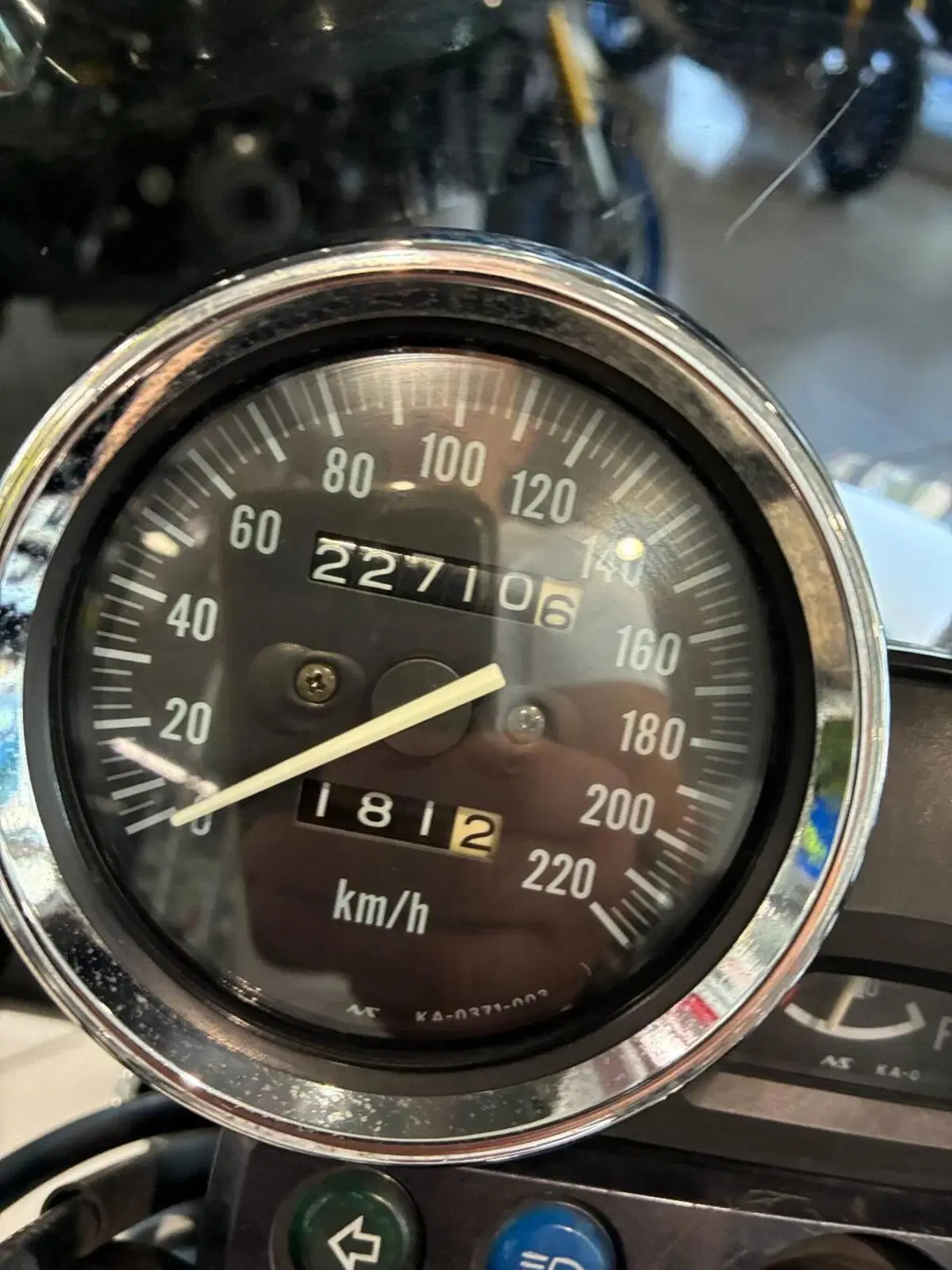 Kawasaki ER-5 500 (2001 - 06) (9)