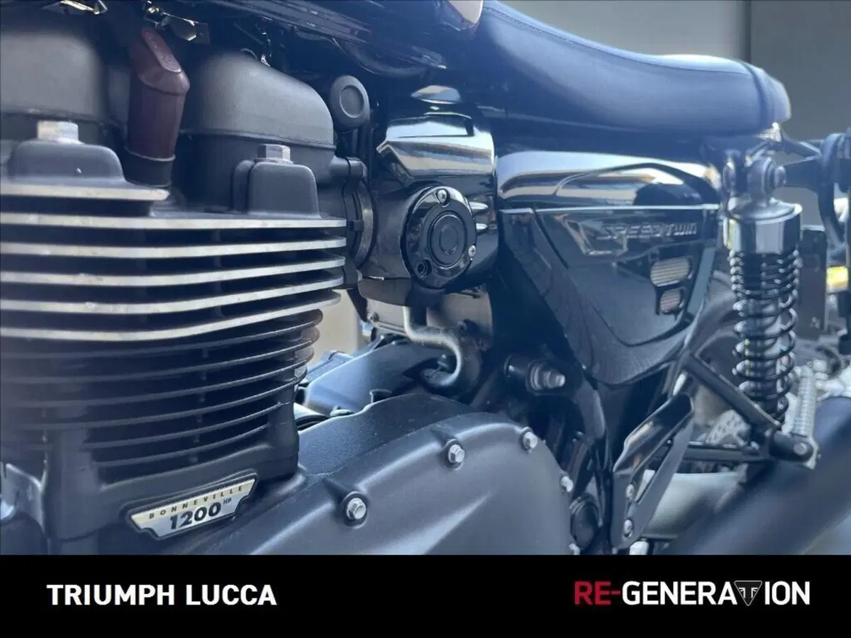 Triumph Speed Twin 1200 (2019 - 20) (8)