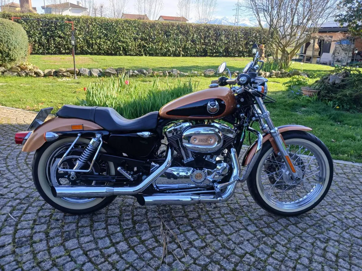 Harley-Davidson 1200 Custom (2007 - 13) - XL 1200C