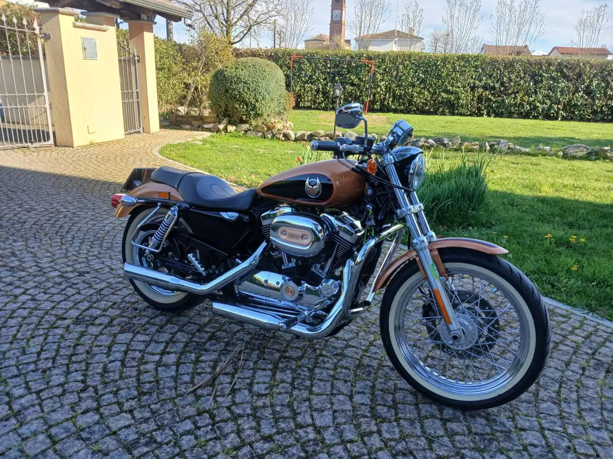 Harley-Davidson 1200 Custom (2007 - 13) - XL 1200C (2)