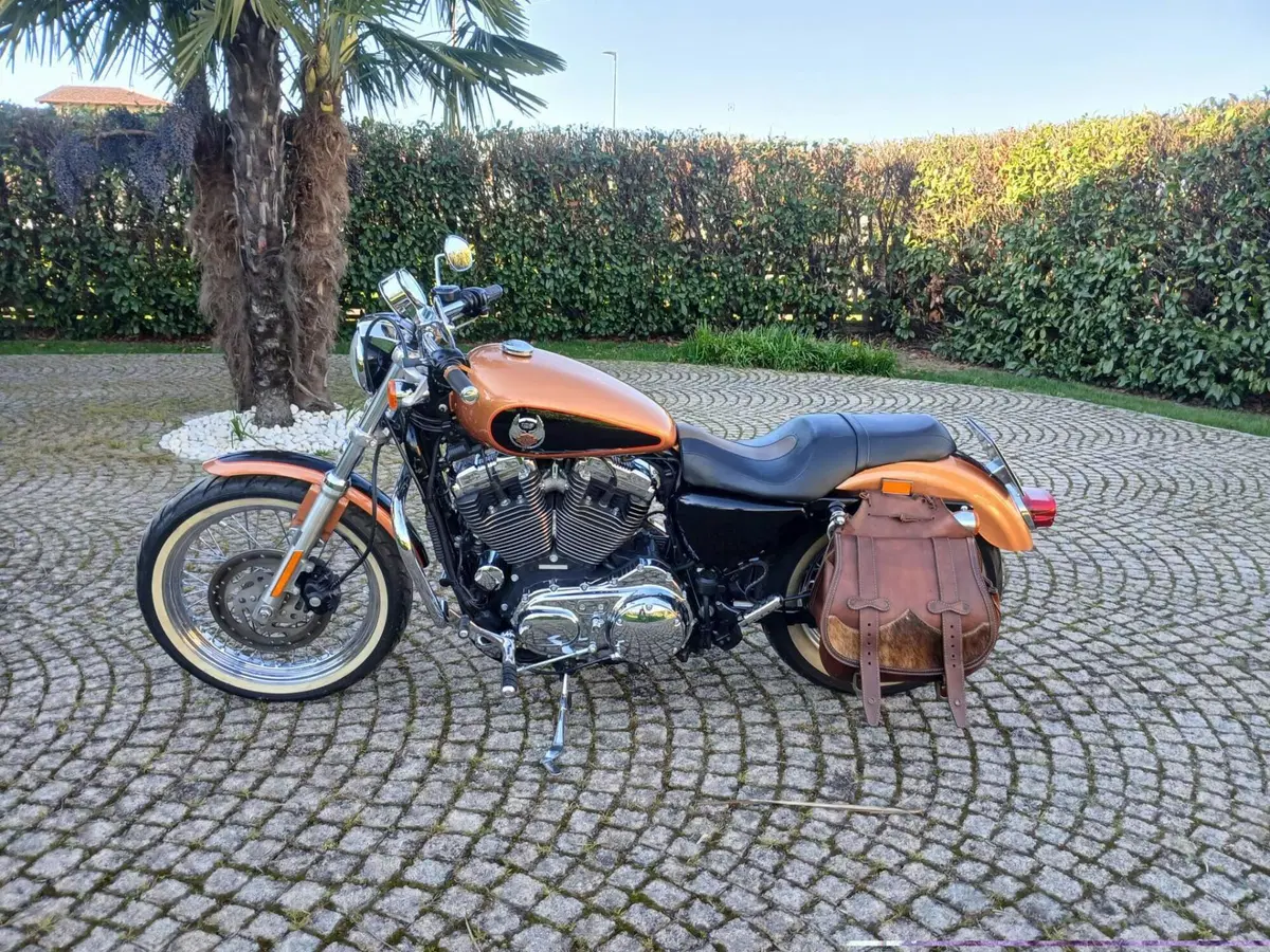 Harley-Davidson 1200 Custom (2007 - 13) - XL 1200C (3)