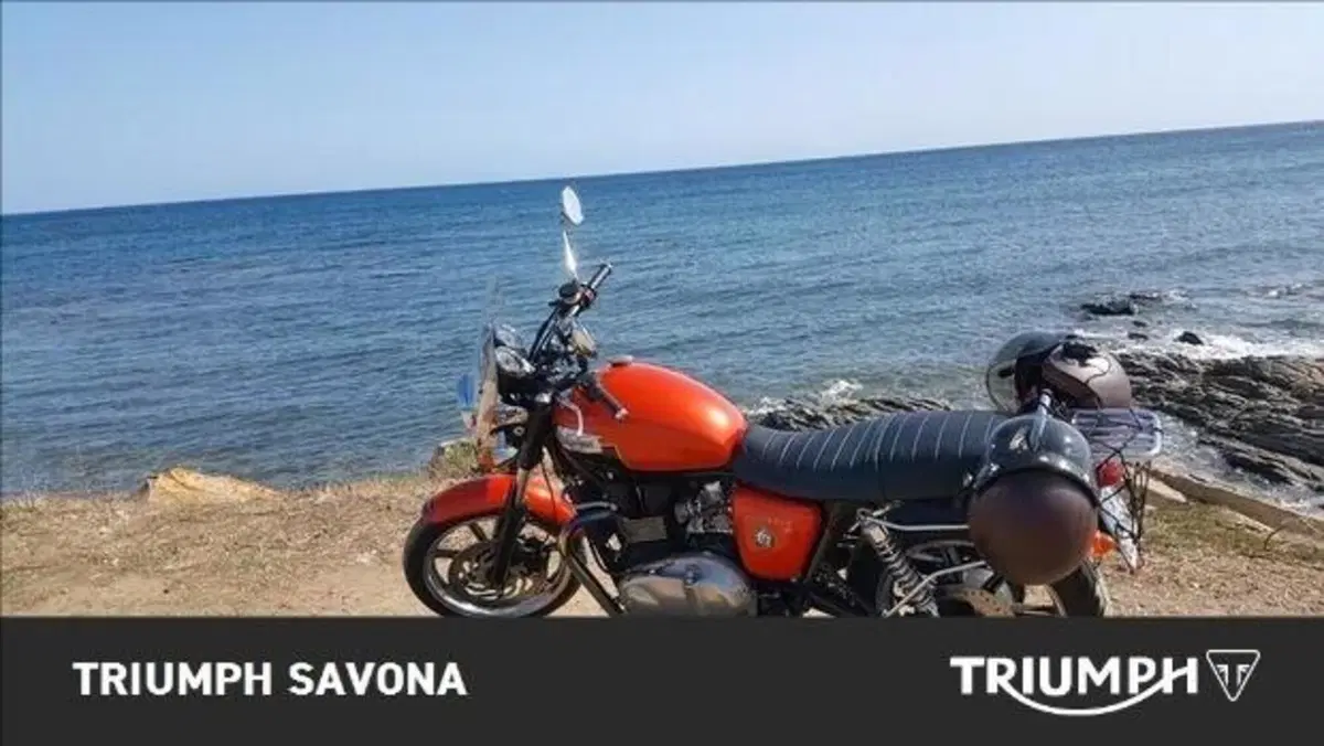 Triumph Bonneville SE (2009 - 13) (5)