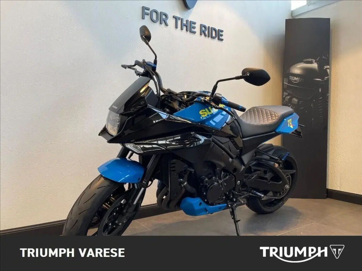 Suzuki Katana 1000 (2019 - 20) (6)