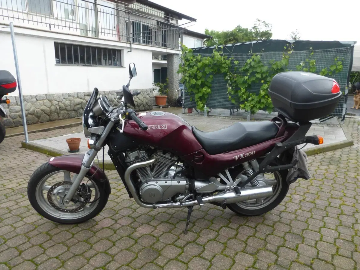 Suzuki VX800 (2)