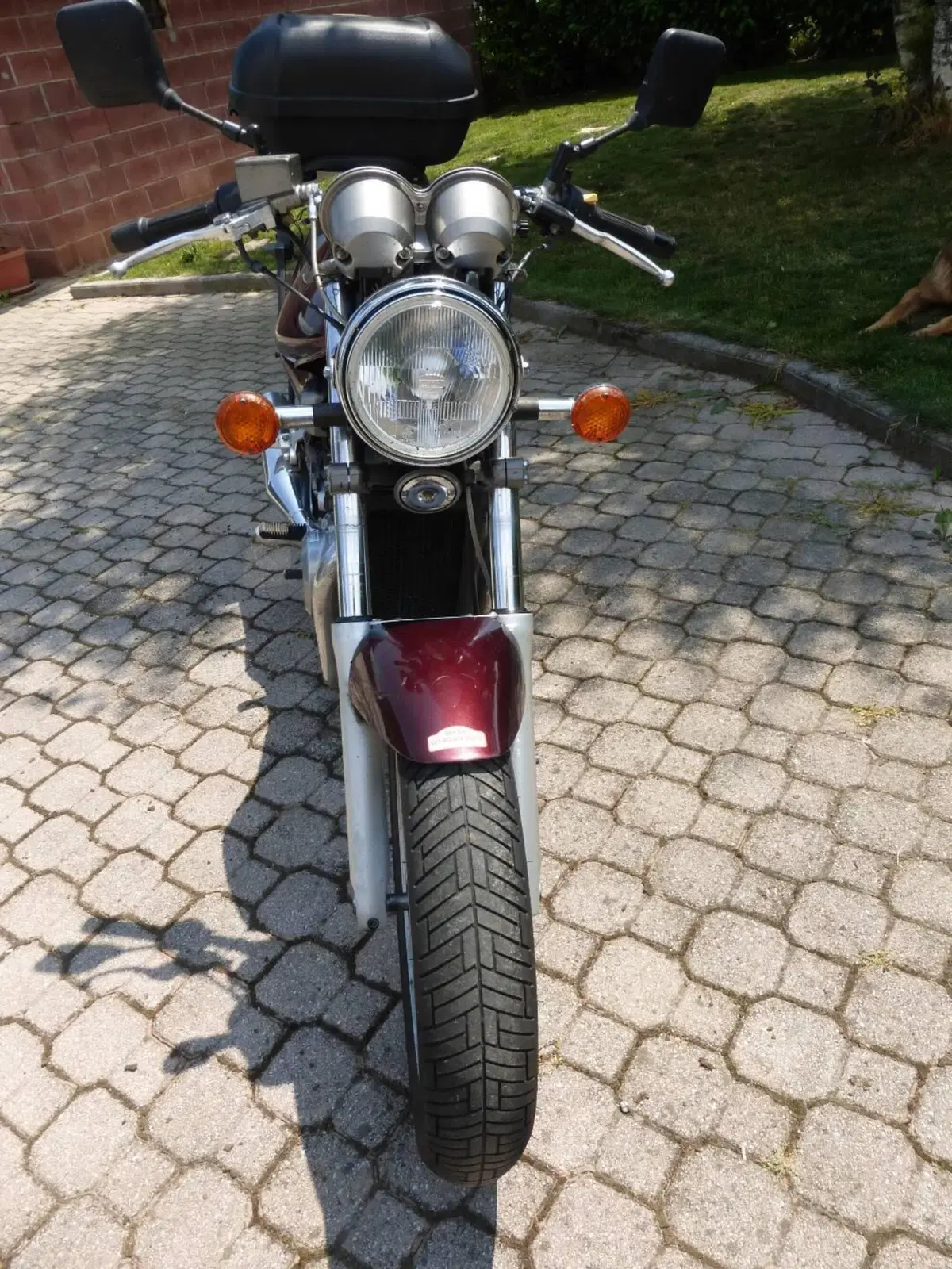 Suzuki VX800 (3)