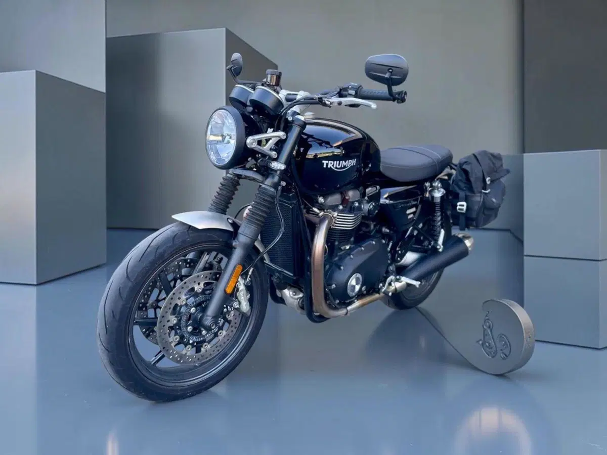 Triumph Speed Twin 1200 (2019 - 20) (3)