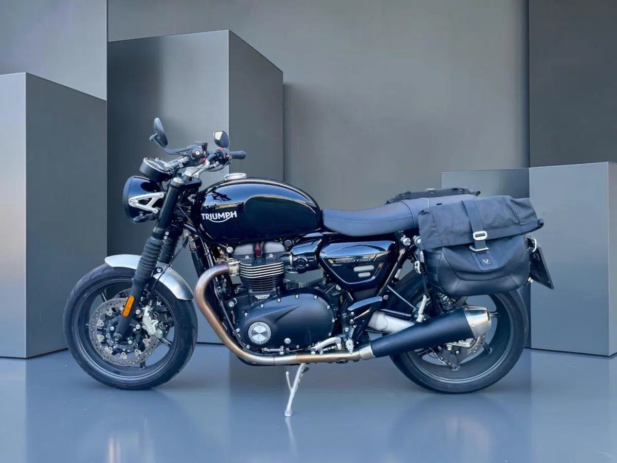 Triumph Speed Twin 1200 (2019 - 20) (4)