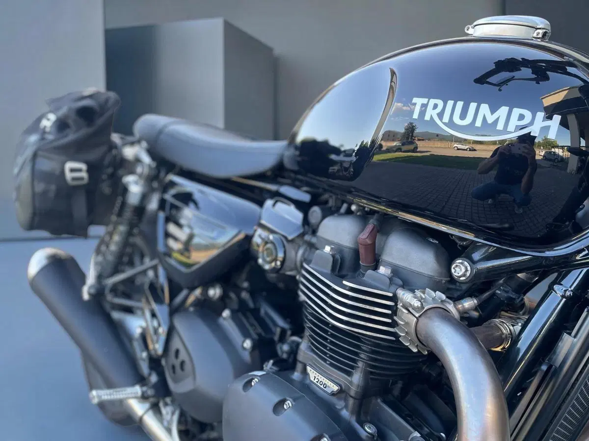 Triumph Speed Twin 1200 (2019 - 20) (6)