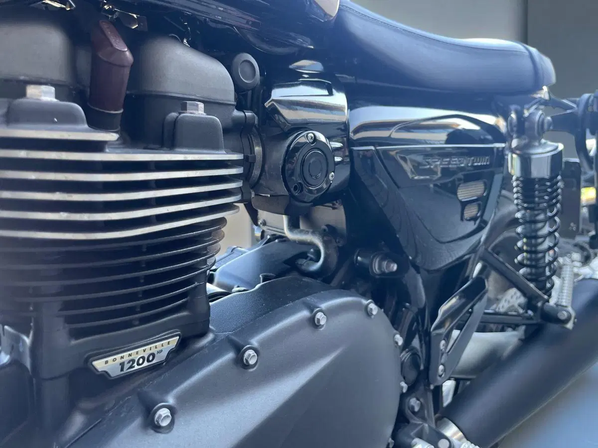 Triumph Speed Twin 1200 (2019 - 20) (9)