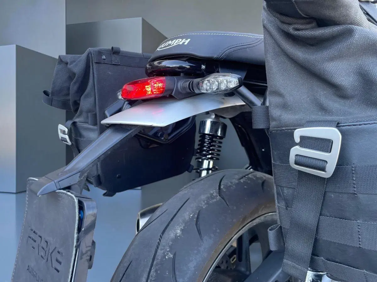 Triumph Speed Twin 1200 (2019 - 20) (10)