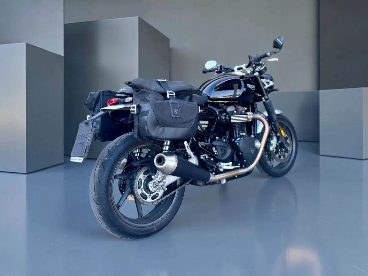 Triumph Speed Twin 1200 (2019 - 20) (11)
