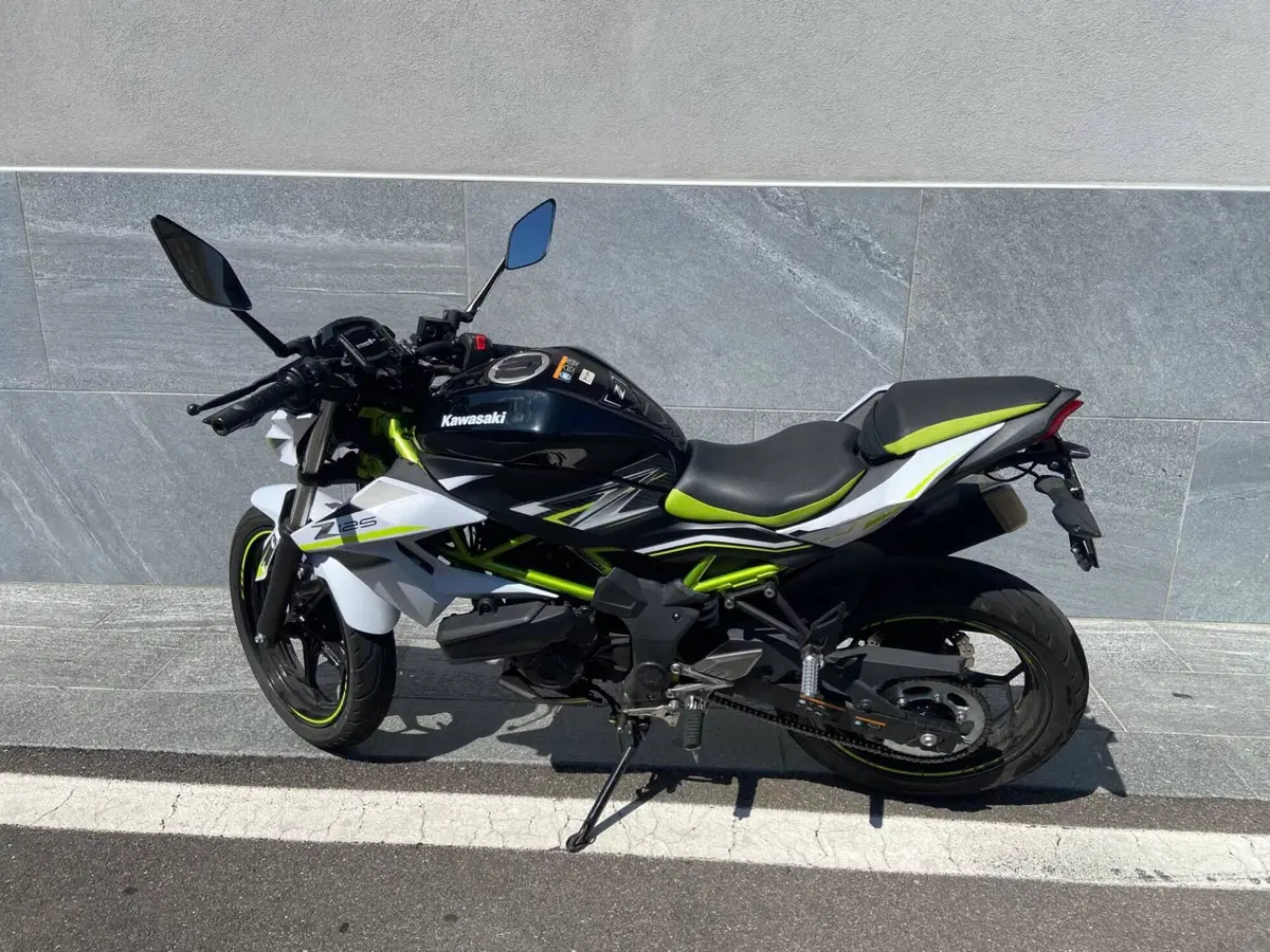 Kawasaki Z 125 (2021 - 24) (4)