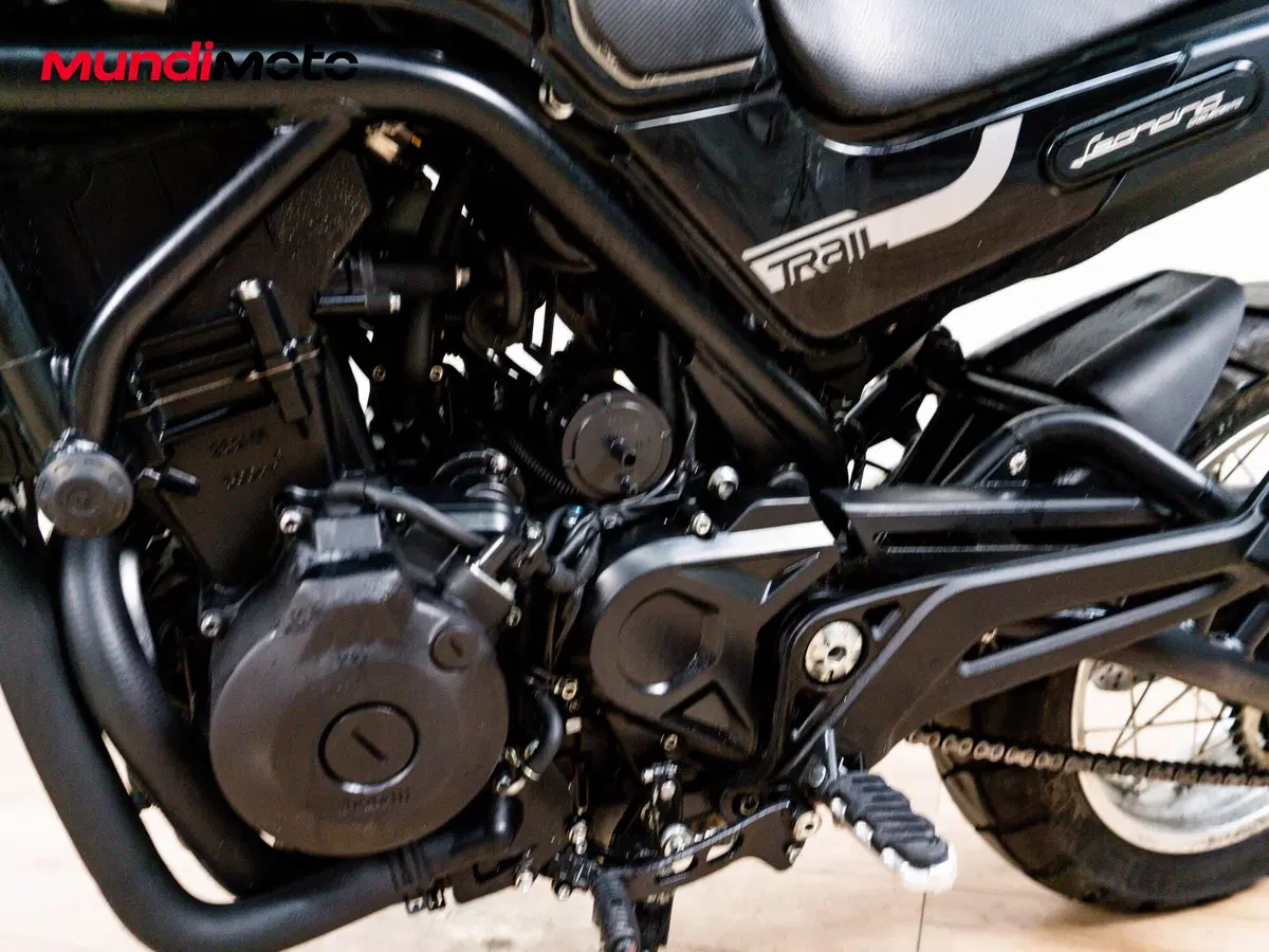 Benelli Leoncino 500 Trail (2021 - 26) (9)