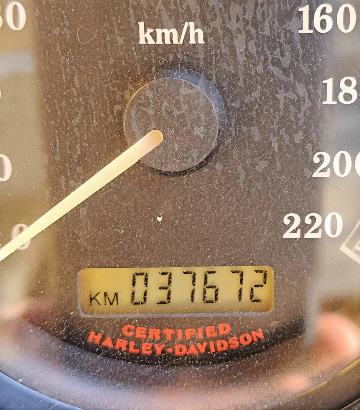 Harley-Davidson 883 Low (2005) - XL 883L (10)