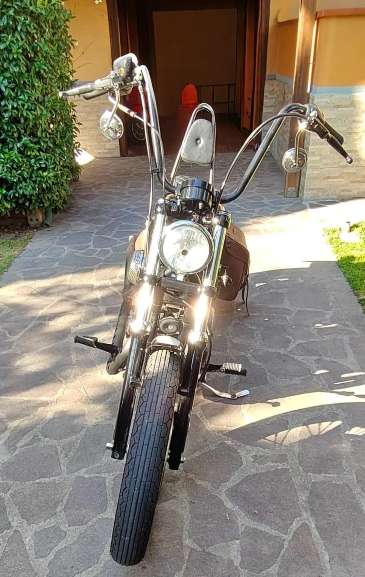 Harley-Davidson 883 Low (2005) - XL 883L (7)