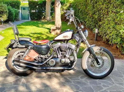 Harley-Davidson 883 Low (2005) - XL 883L usata