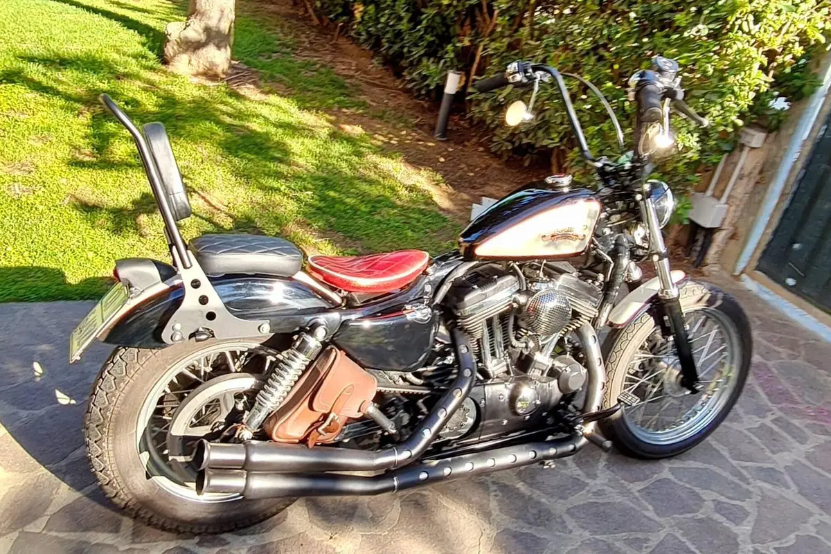 Harley-Davidson 883 Low (2005) - XL 883L (5)