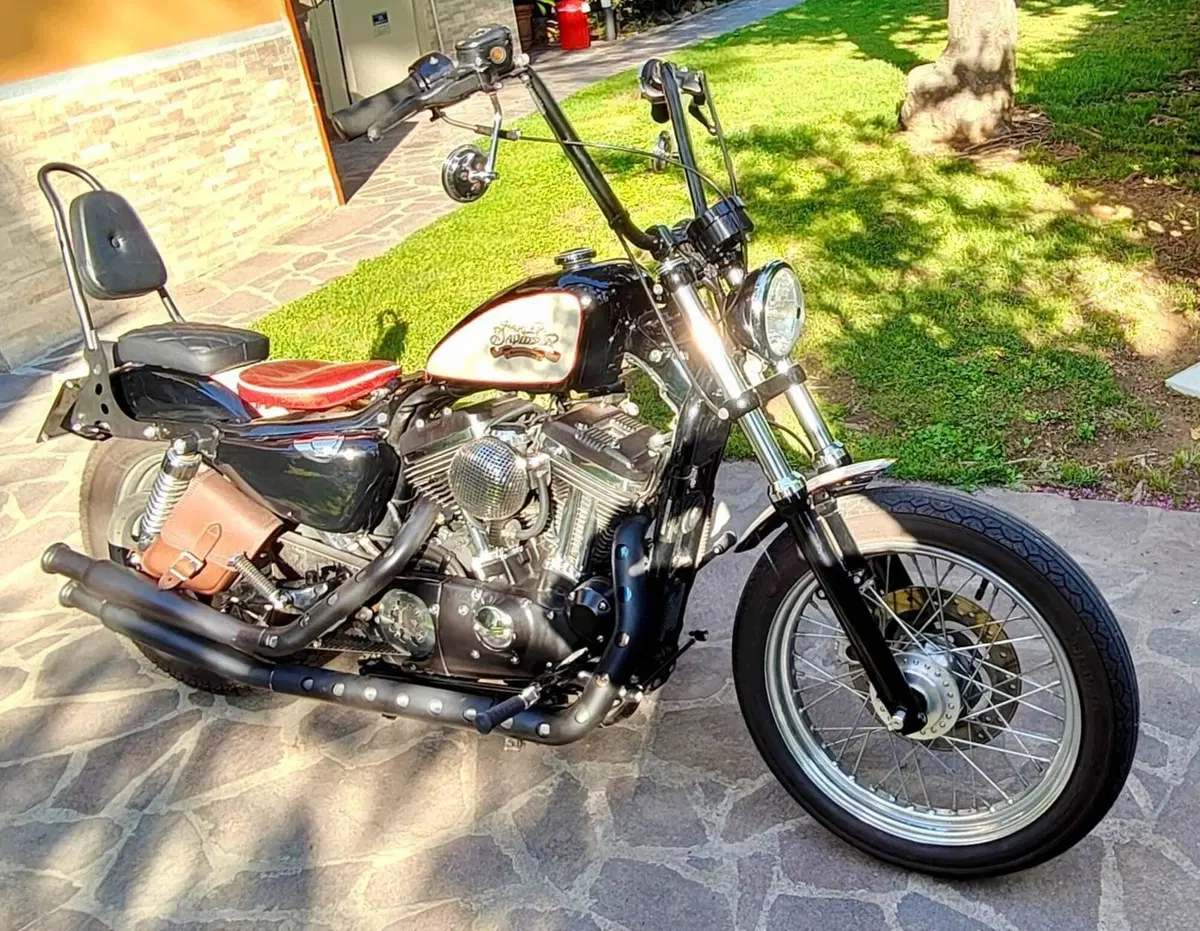 Harley-Davidson 883 Low (2005) - XL 883L (3)