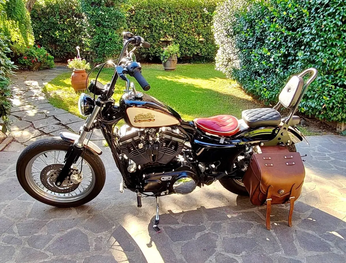 Harley-Davidson 883 Low (2005) - XL 883L (2)