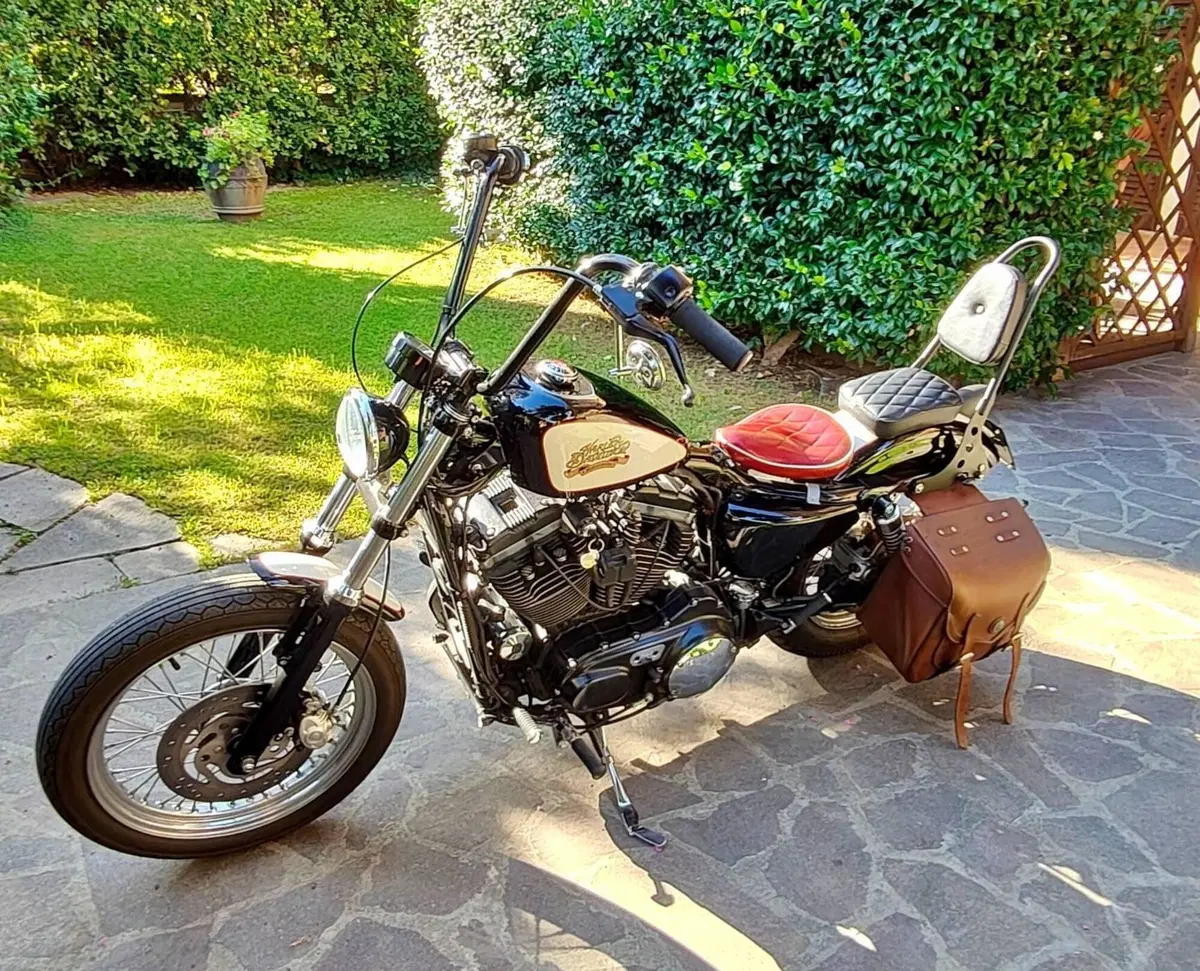 Harley-Davidson 883 Low (2005) - XL 883L (4)