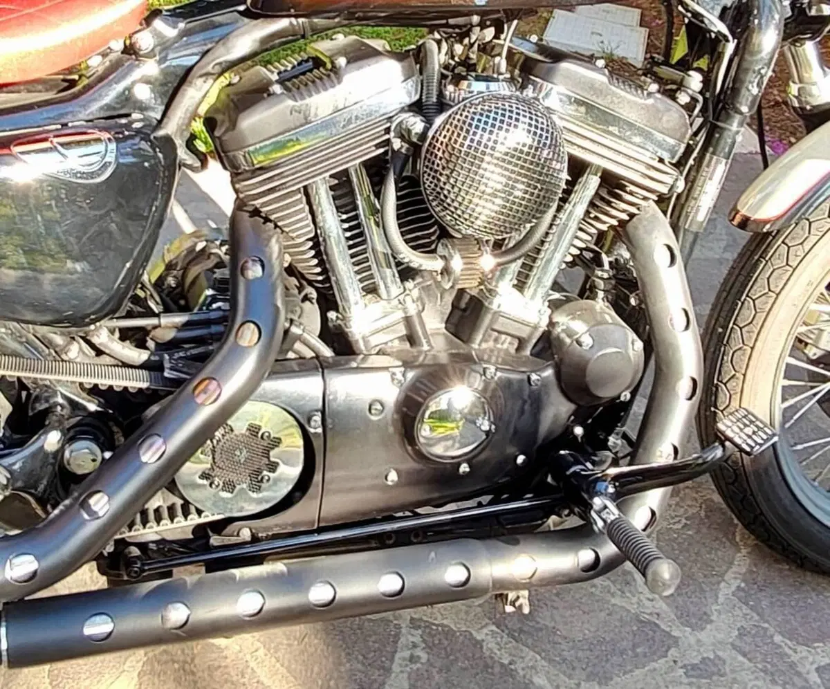 Harley-Davidson 883 Low (2005) - XL 883L (9)