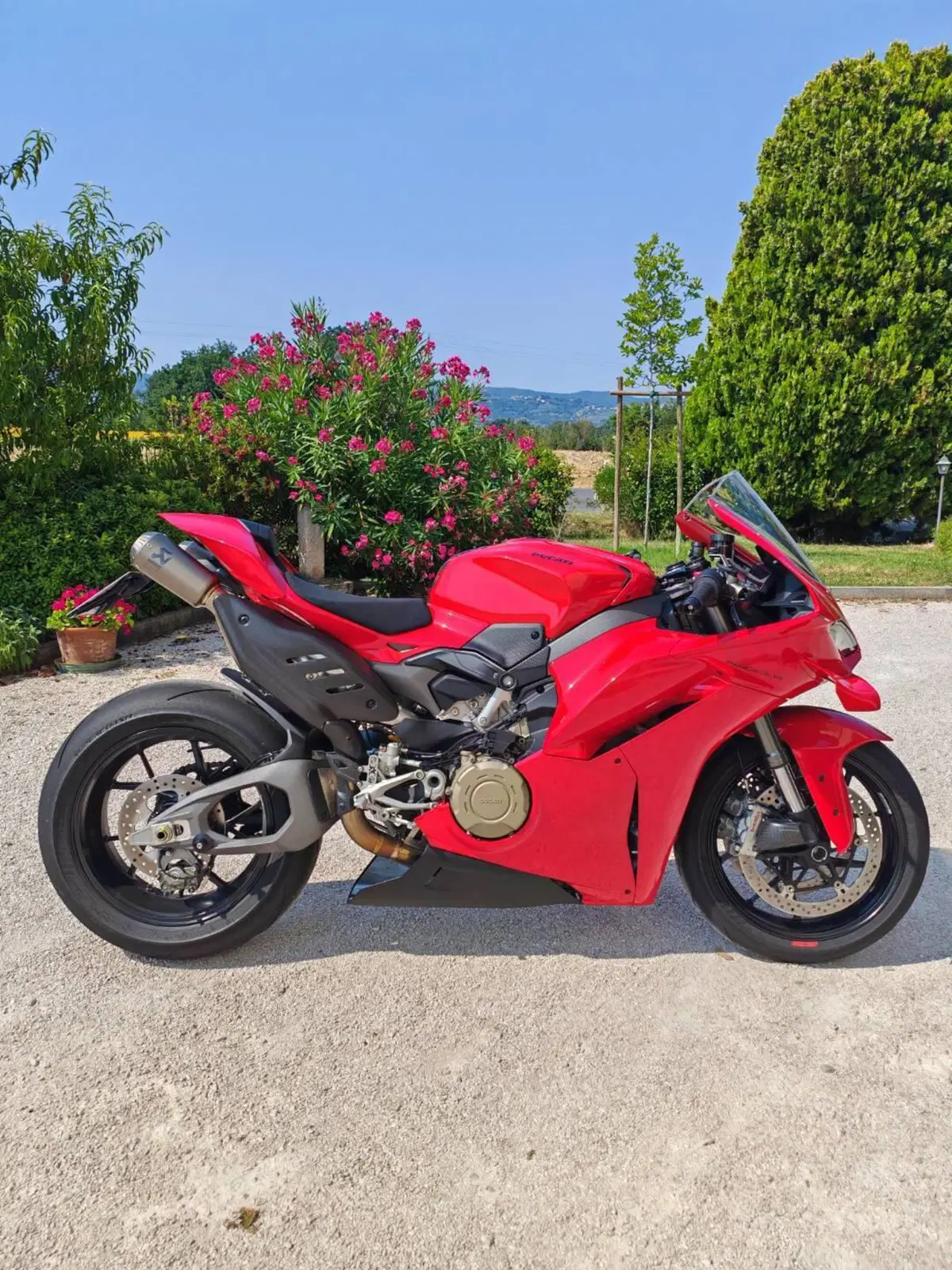Ducati Panigale V4 (2025 - 26)
