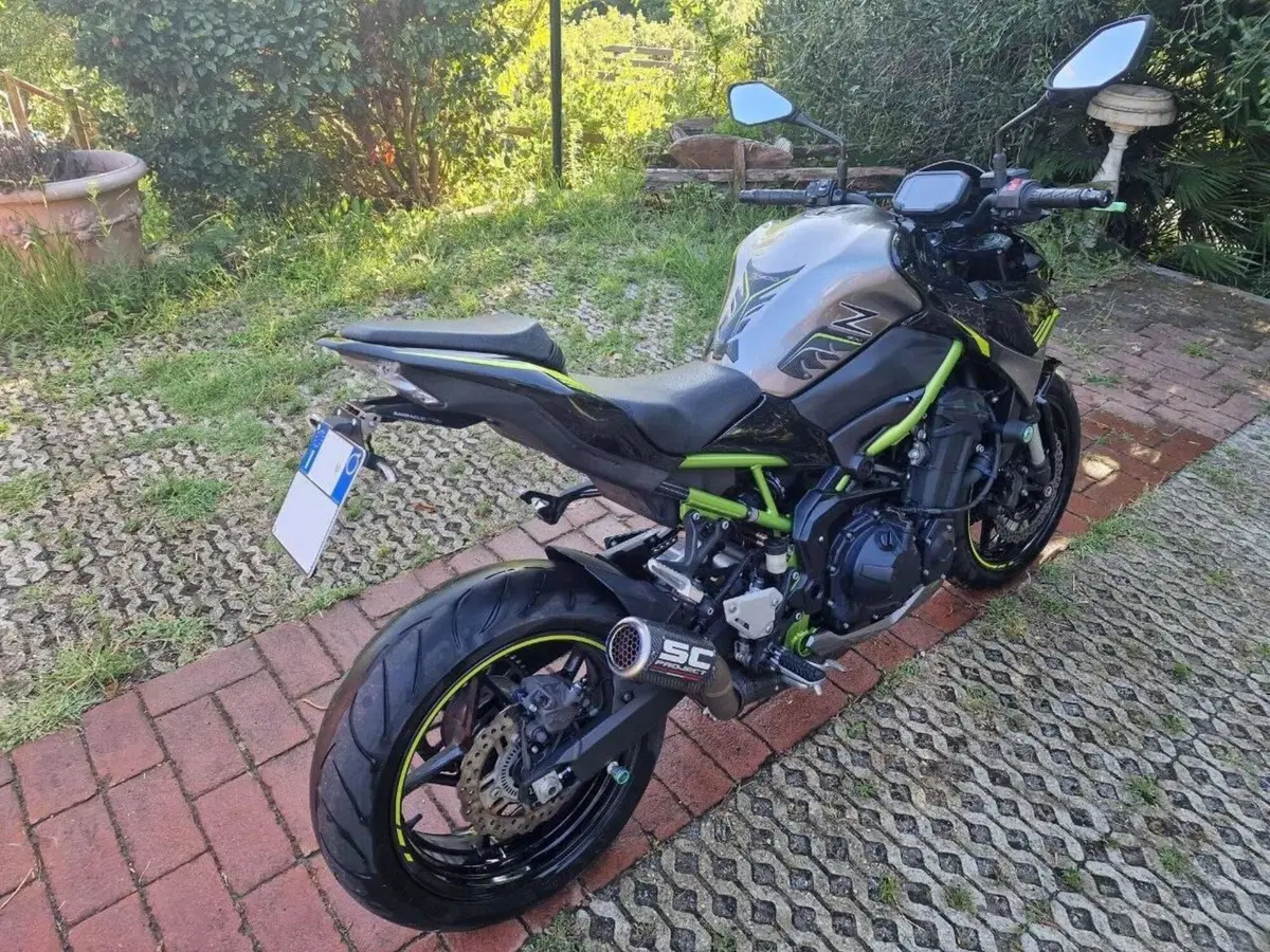 Kawasaki Z 900 Performance (2020) (2)