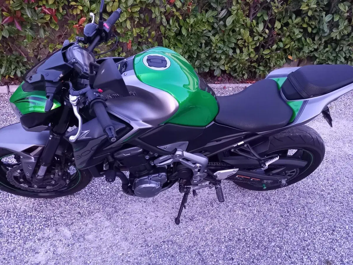 Kawasaki Z 900 A2 (2019) (4)