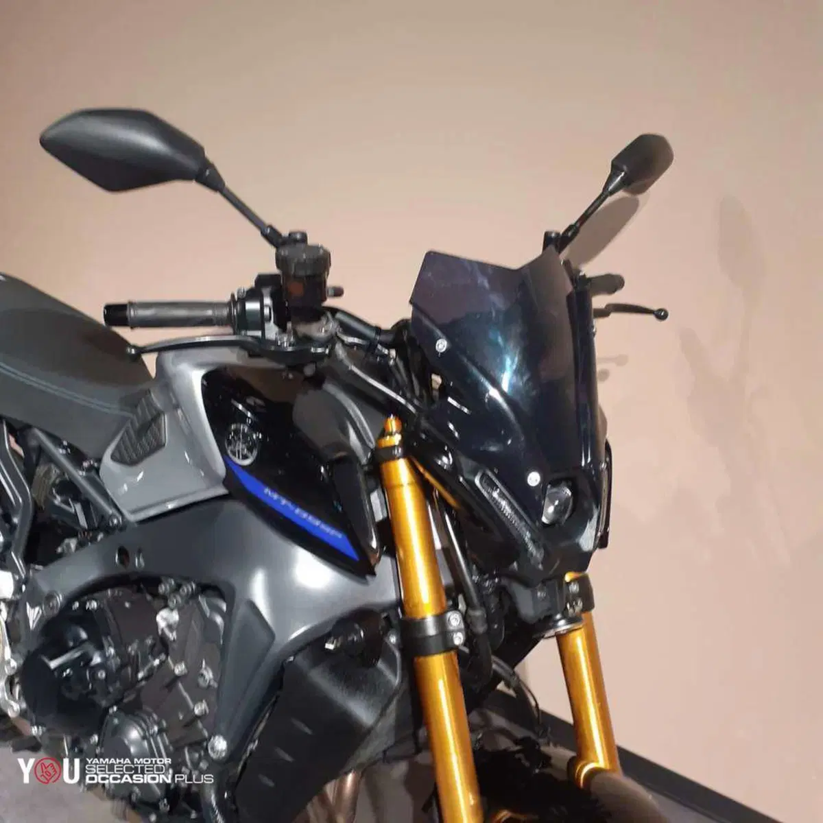 Yamaha MT-09 SP (2021 - 23) (6)