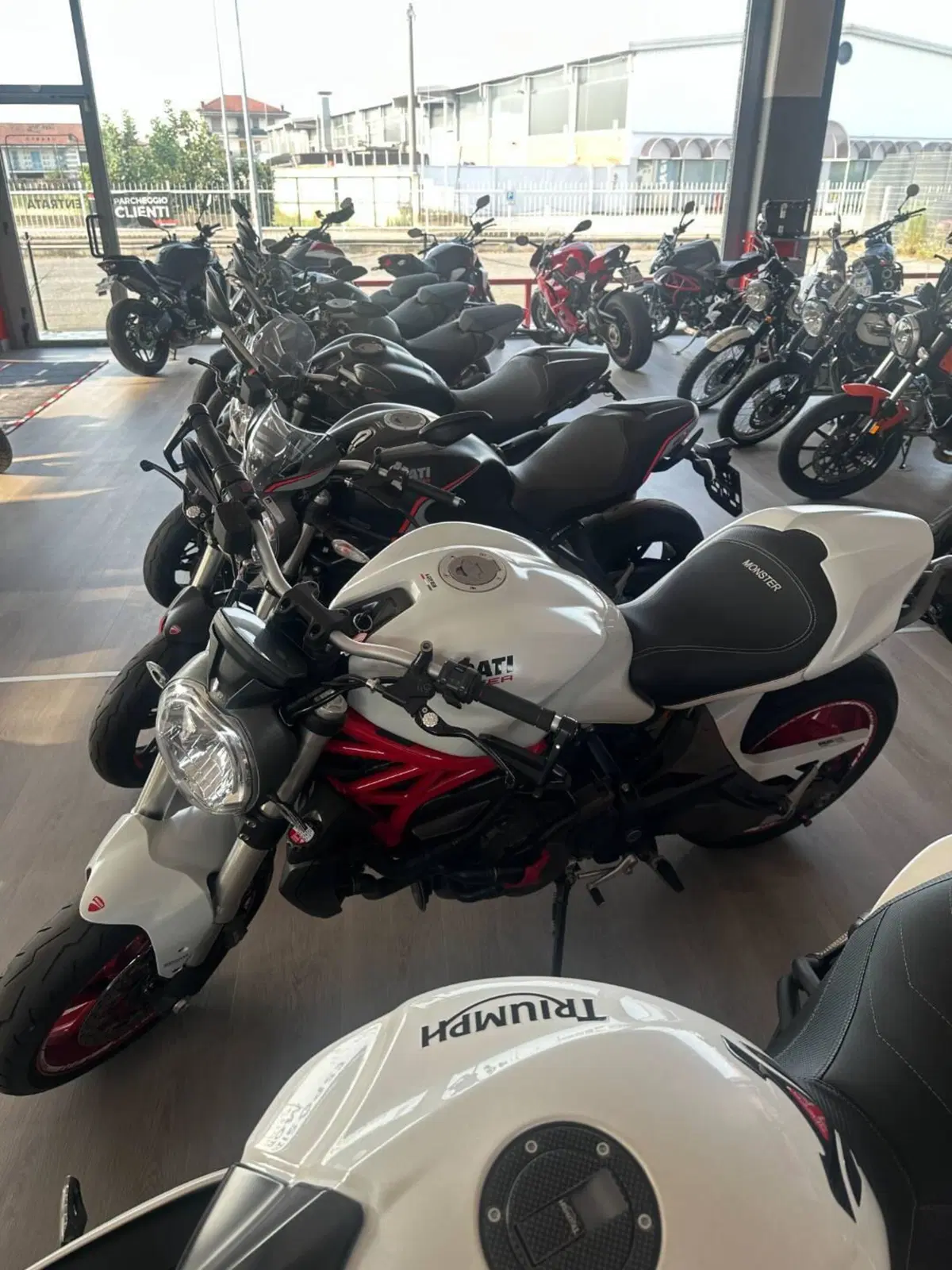 Ducati Monster 821 ABS (2014 - 17) (3)