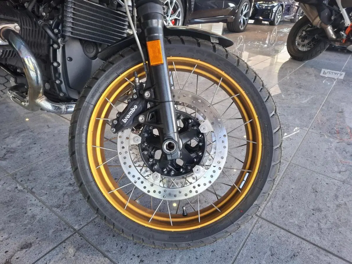 Bmw R nineT Scrambler (2021 - 24) (6)