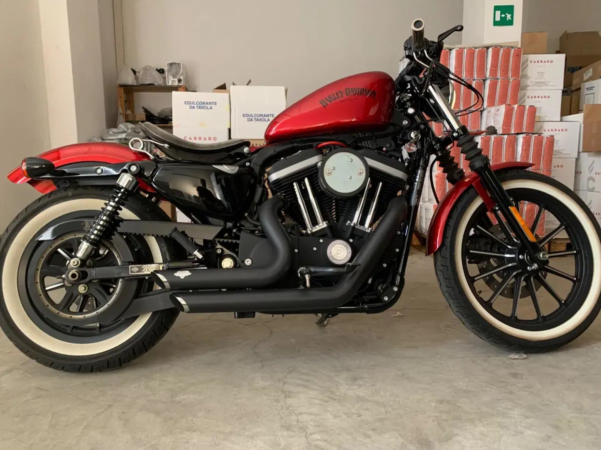 Harley-Davidson 883 Iron (2012 - 14) - XL 883N (2)