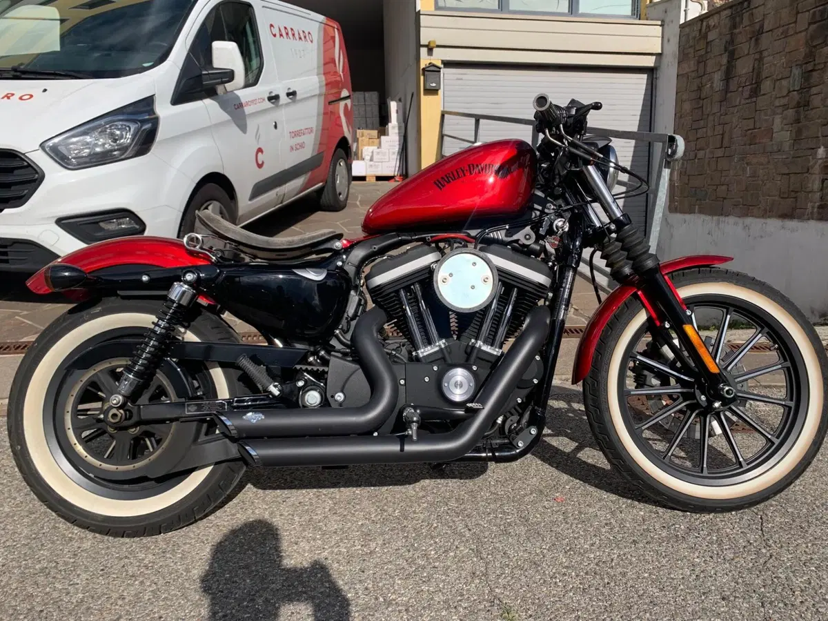 Harley-Davidson 883 Iron (2012 - 14) - XL 883N (6)