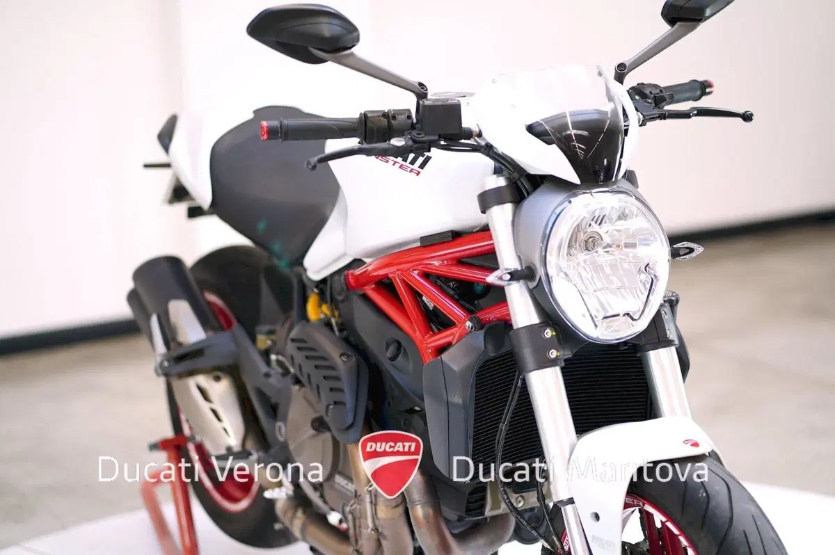 Ducati Monster 821 ABS (2014 - 17) (9)