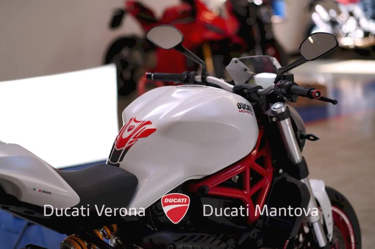 Ducati Monster 821 ABS (2014 - 17) (10)