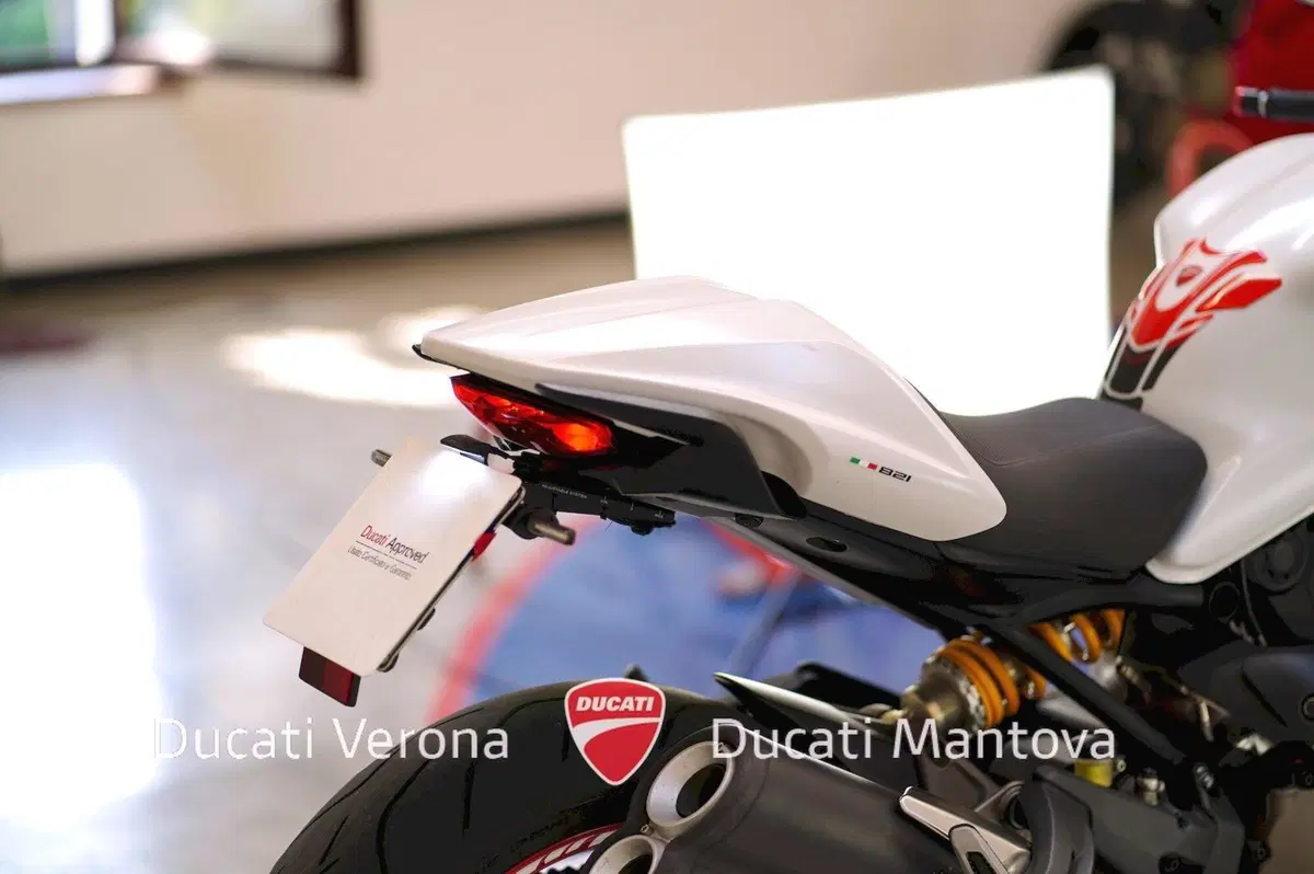 Ducati Monster 821 ABS (2014 - 17) (12)