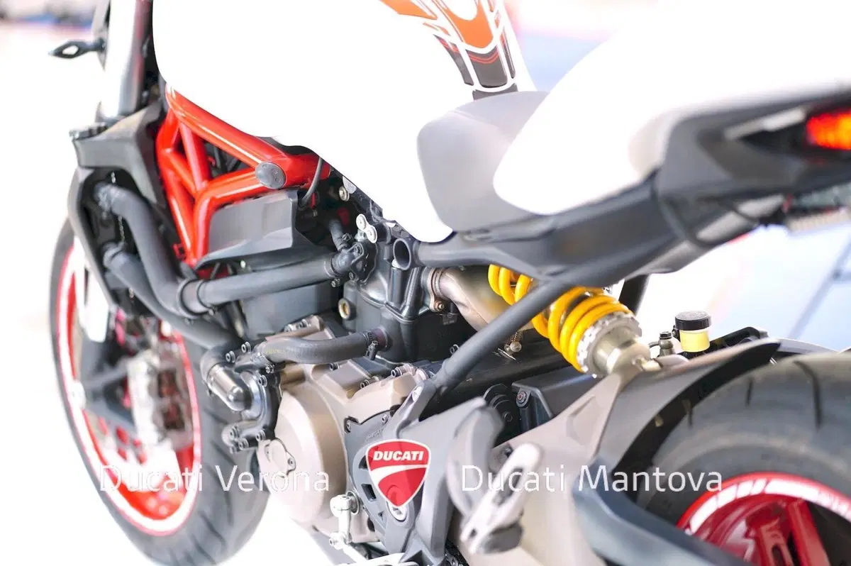Ducati Monster 821 ABS (2014 - 17) (14)