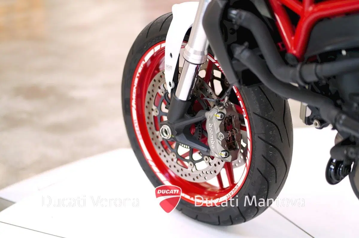 Ducati Monster 821 ABS (2014 - 17) (15)