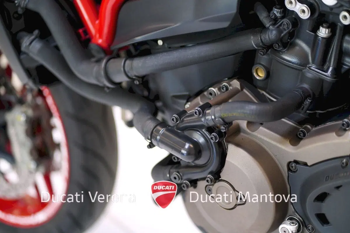 Ducati Monster 821 ABS (2014 - 17) (16)