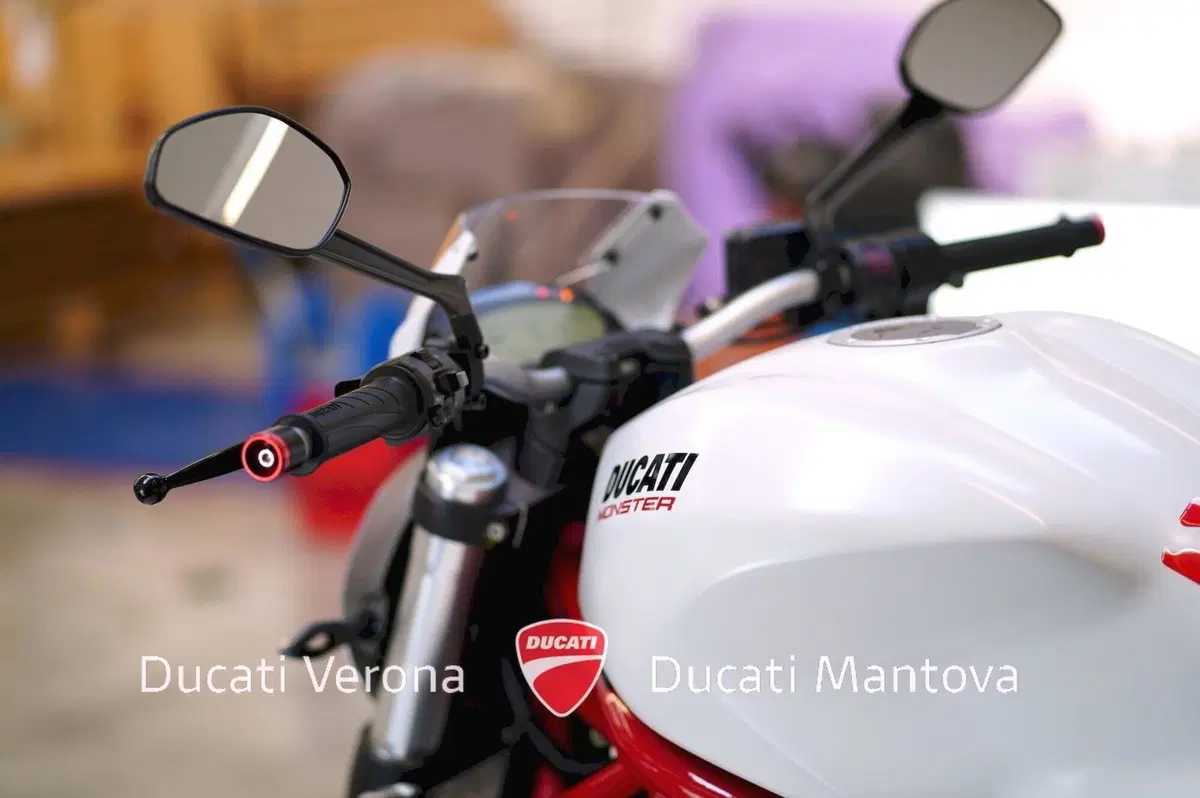 Ducati Monster 821 ABS (2014 - 17) (17)