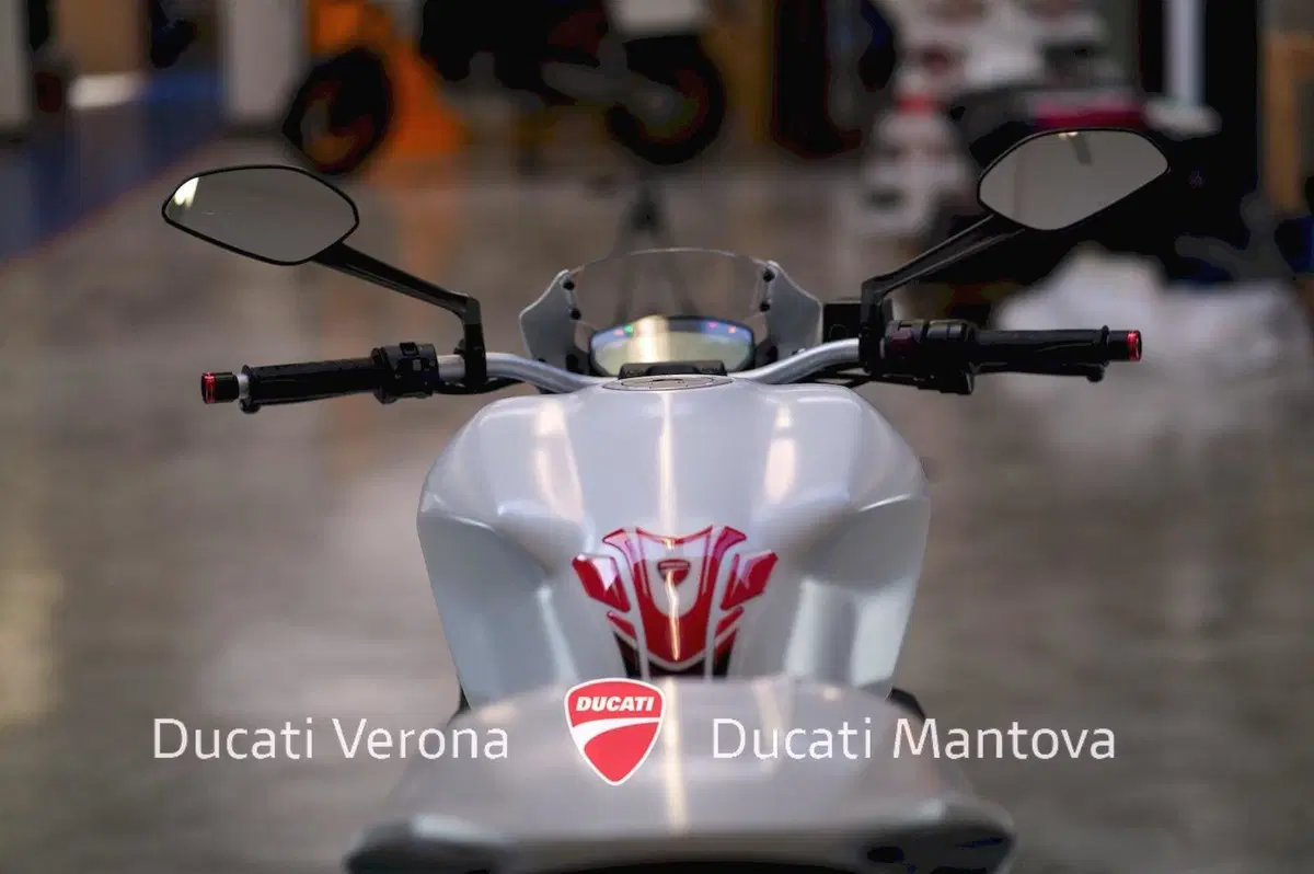 Ducati Monster 821 ABS (2014 - 17) (18)