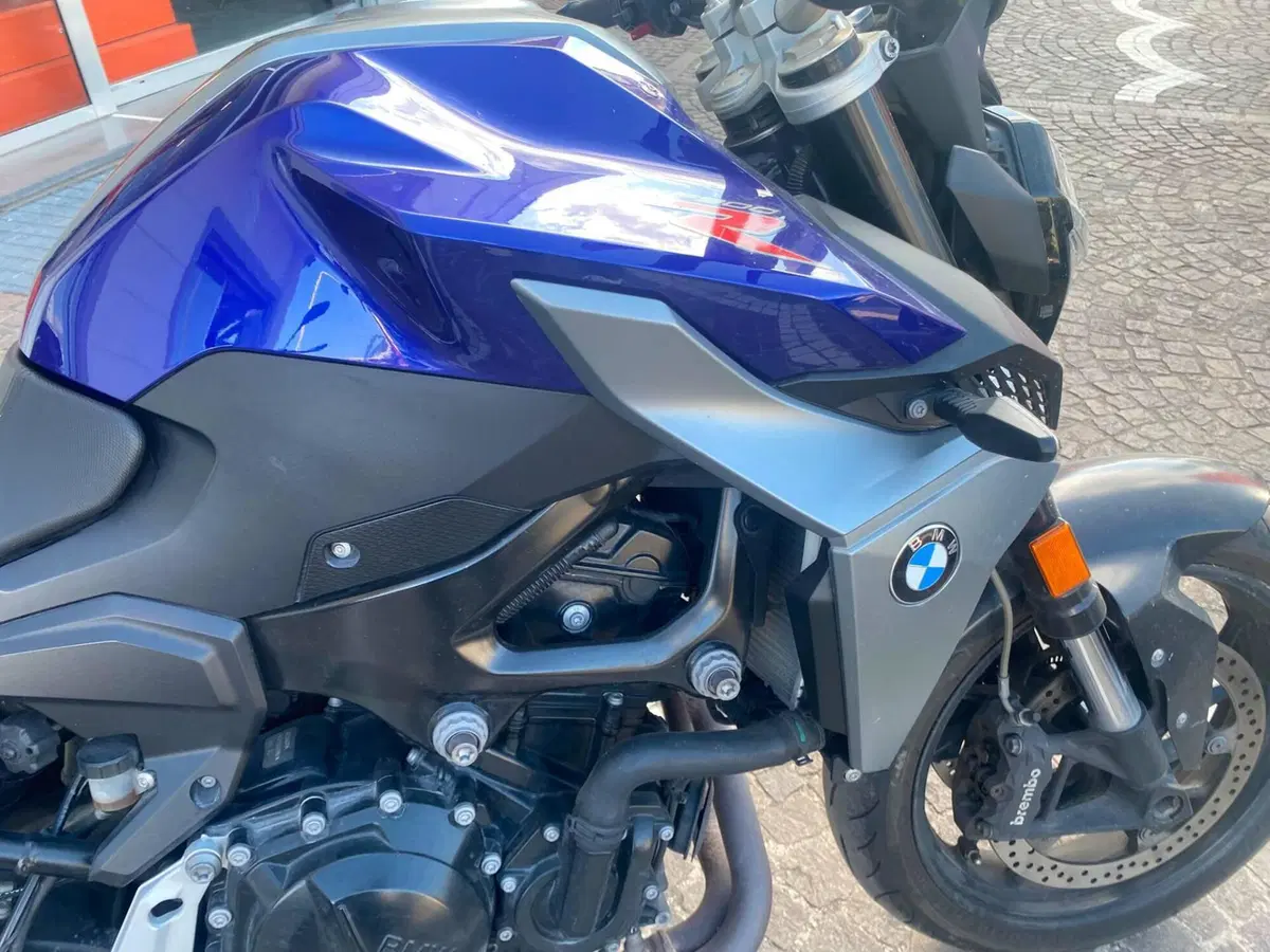 Bmw F 900 R (2017 - 20) (7)